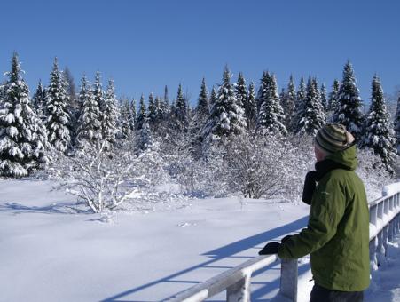 Une personne contemple le paysage hiveral à partir d'une passerelle au Marais du Nord (Agiro).