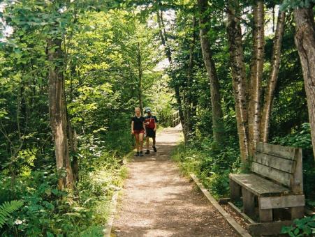 Une randonnée en forêt en été au Marais du Nord (Agiro).