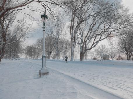 Balade hivernale sur les plaines d'Abraham avec arbres enneigés