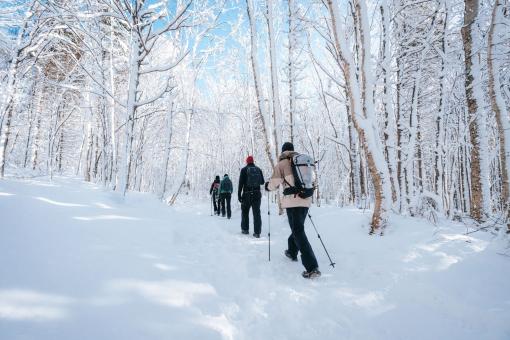 Sentier des Caps de Charlevoix- randonnée raquette