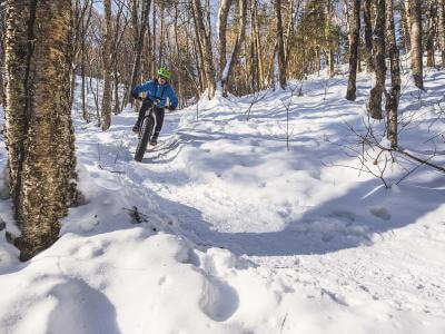 An outdoor enthusiast rides a fatbike, a bicycle with oversized wheels in the snowy forest.