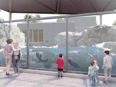 Aquarium maquette Louphoque