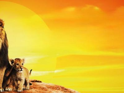 Le Roi Lion – En concert