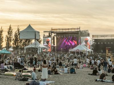 Scène de Cigale sur la plage de la Baie de Beauport