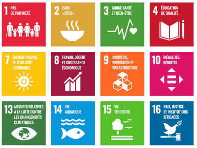 Icônes des objectifs de développement durable de l'ONU
