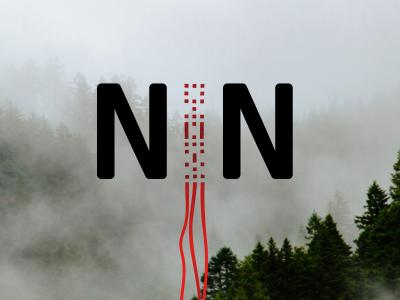 NIN