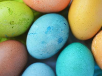 Pâques à l'Aquarium de Québec