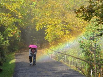 People walking under an umbrella