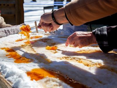 Erablière urbaine Grand Marché