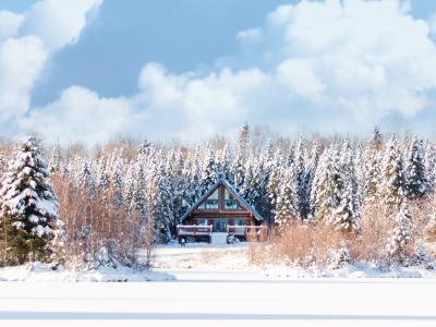 Chalets au Bois Rond