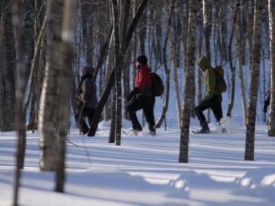 People take a snowshoe hike in the snowy forest of the Vallée Bras-du-Nord.