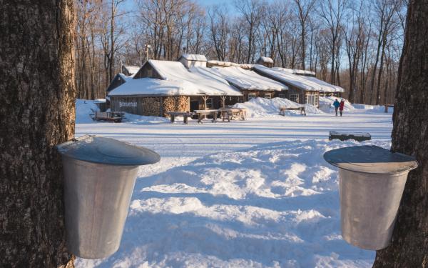 Boilers that collect maple water in front of a sugar shack