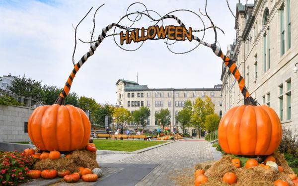 Halloween decorations at the City Hall