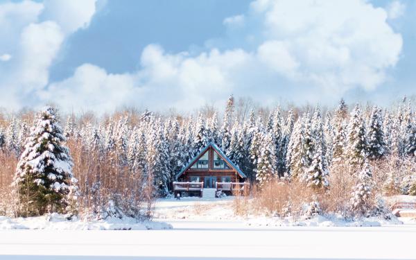 Chalets au Bois Rond
