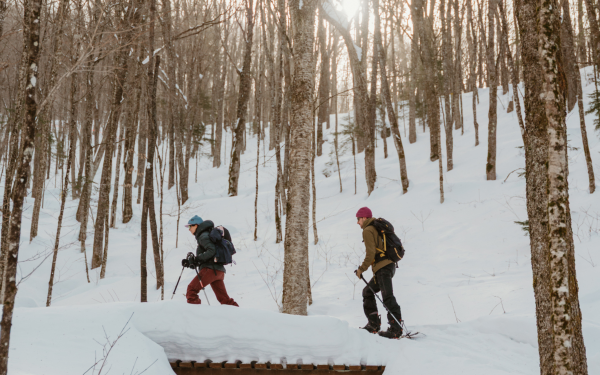 Vallée Bras-du-Nord - Ski de montagne 1