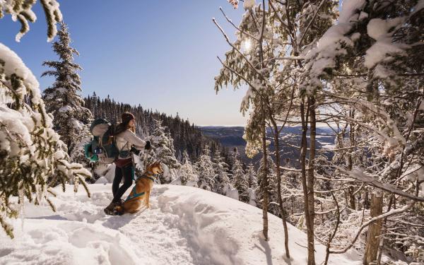 Un randonneur accompagné de son chien, l'hiver dans un sentier de raquettes, dans la Vallée Bras-du-Nord.