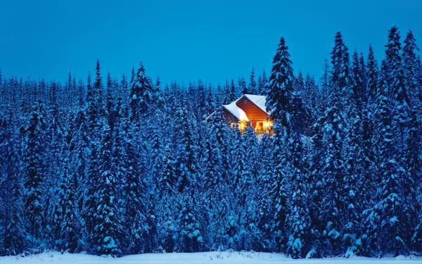 Exterior view of an illuminated chalet in the heart of a snowy forest, in the Réserve faunique des Laurentides, in winter.