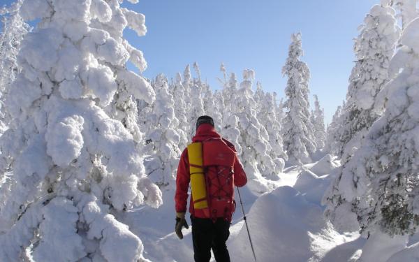 Québec Pure Expérience - Guided snowshoe hike