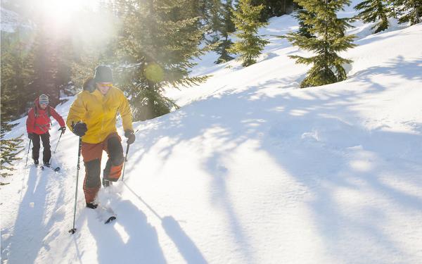 Quatre Natures - ski nordique au parc national de la Jacques-Cartier