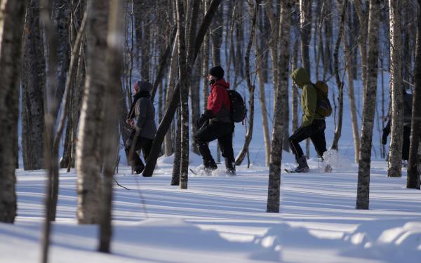 Des personnes font une randonnée en raquettes dans la forêt enneigée de la Vallée Bras-du-Nord.