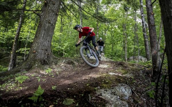 Parc MSA - Vélo XC - Photo 1