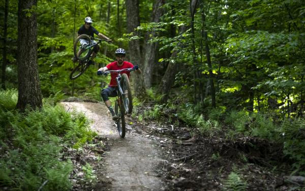 Parc MSA - Photo 1