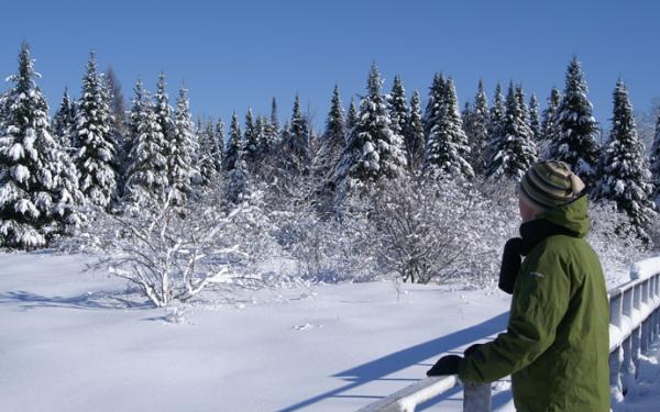 Une personne contemple le paysage hiveral à partir d'une passerelle au Marais du Nord (Agiro).