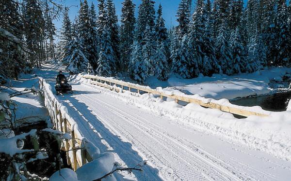 Réserve faunique des Laurentides - Snowmobile ride