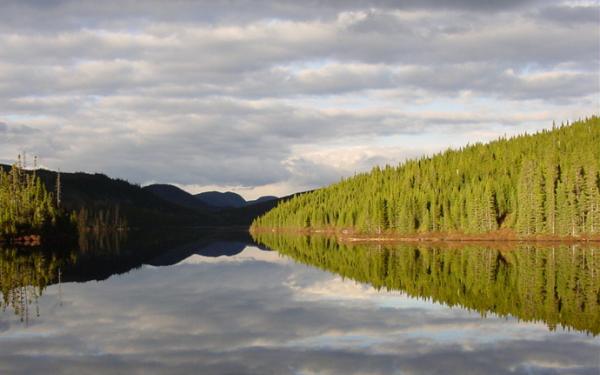 La Pourvoirie du Lac Moreau inc. - vue sur le lac
