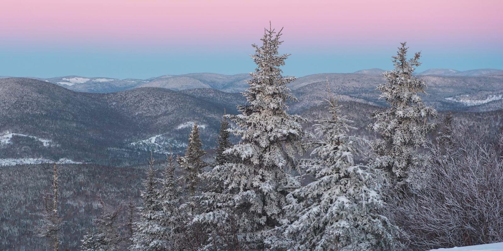 Panorama enneigé, vu à partir du sommet d'une montagne. 