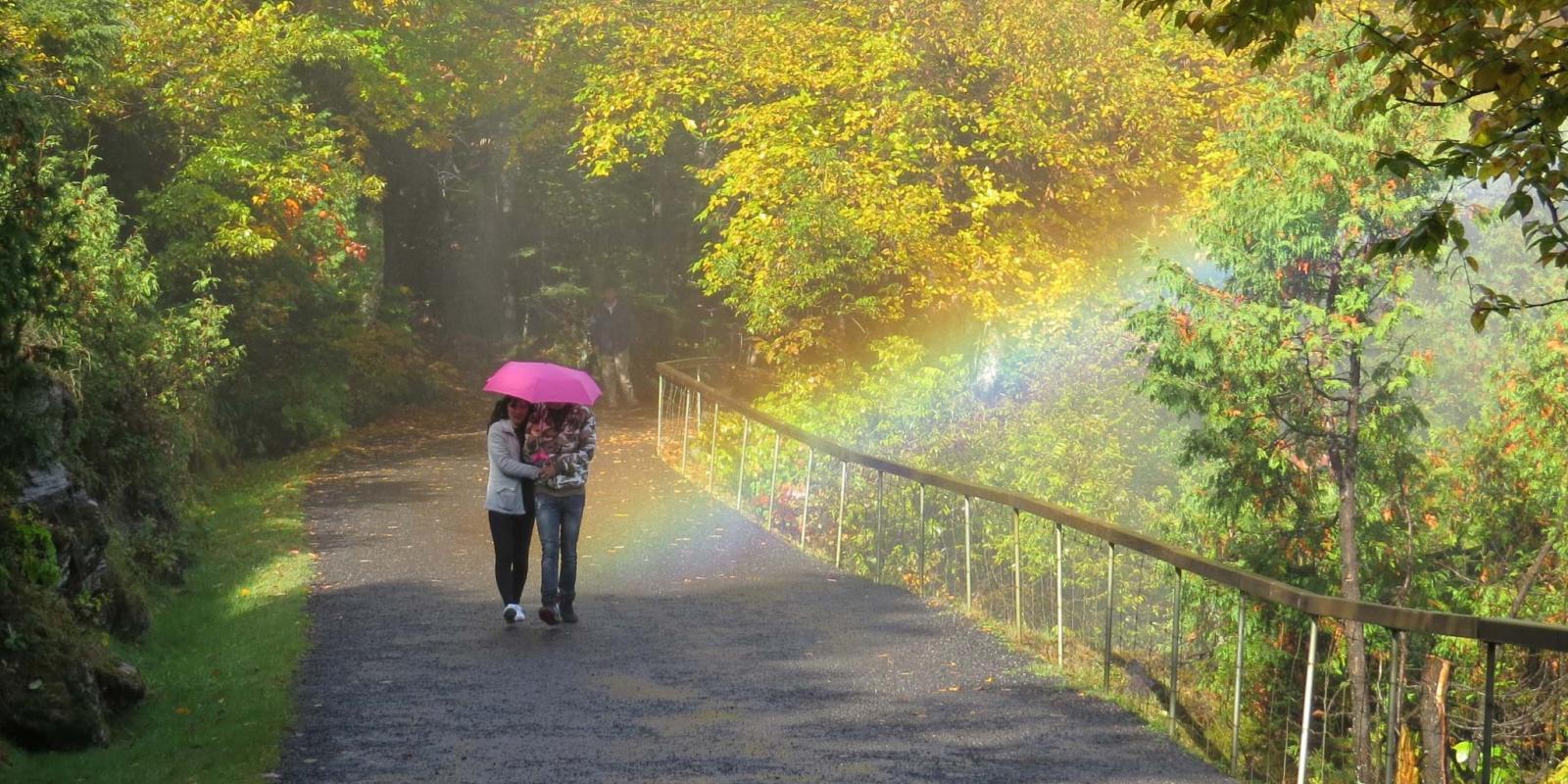 Marcheurs avec un parapluie