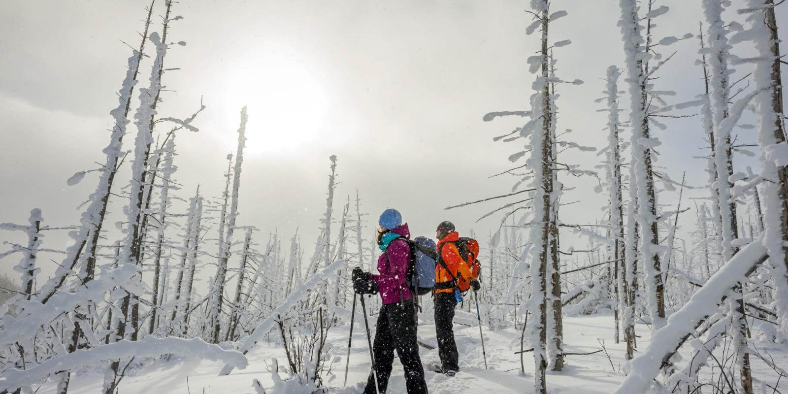Katabatik Aventure dans Charlevoix Visit Québec City