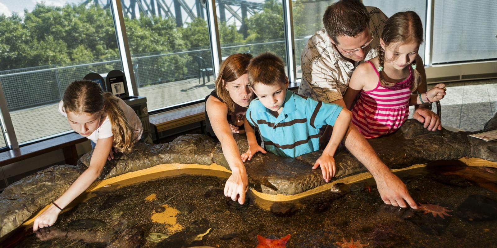 Une famille et des enfants participent à une activité d'interprétation à l'Aquarium du Québec.