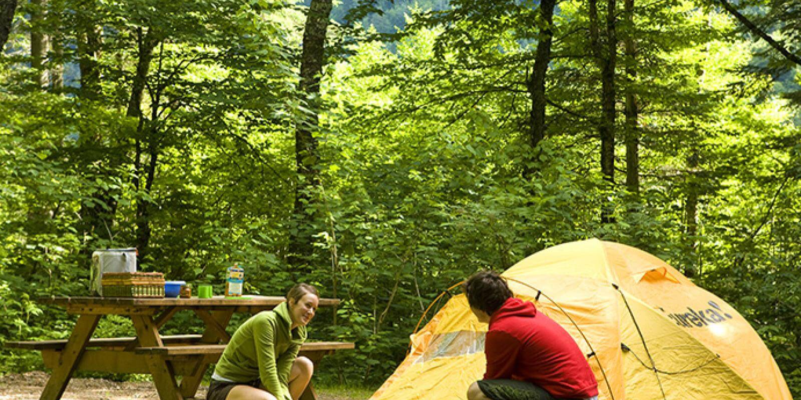The camp left. Палатка туристическая. Палатка в лесу. Кемпинг на природе. Туризм с палатками.