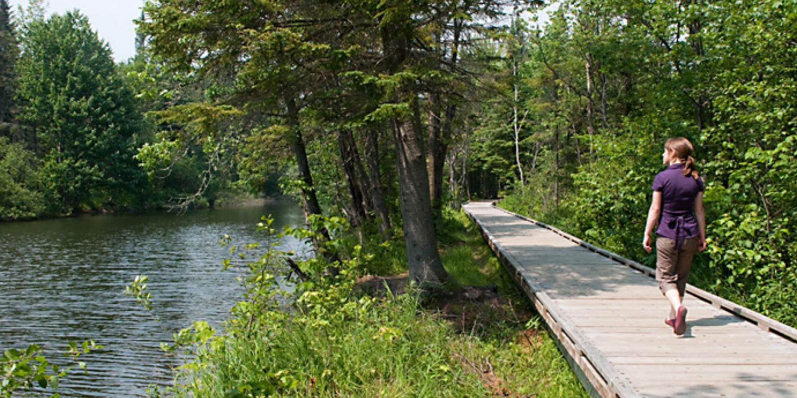 Parc linéaire de la RivièreSaintCharles Gardens and Nature Walk
