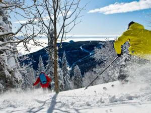 Two skiers hurtle down the alpine ski slopes at the Massif de Charlevoix.