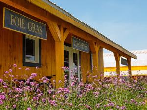 La ferme Québec-Oies - La boutique