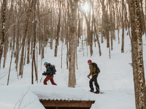 Vallée Bras-du-Nord - Ski de montagne 1