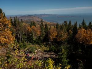 A cyclist on a mountain bike in the heart of the forest in autumn, in the Massif de Charlevoix.