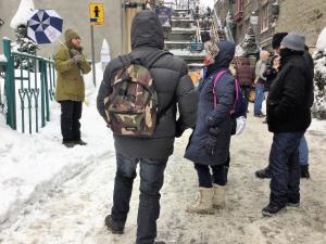 Guided Walking Tours and Theme Tours