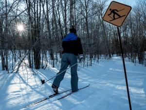 A skier goes cross-country skiing on the trails of the Parc naturel régional de Portneuf.