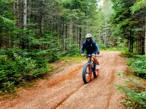 Au Chalet en Bois Rond - Fatbike en été