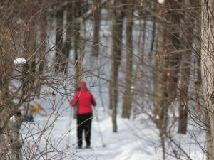 Snowshoeing on the Enfer trail, in the Parc naturel régional de Portneuf.