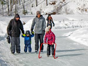 Au Chalet en Bois Rond - Anneau de glace