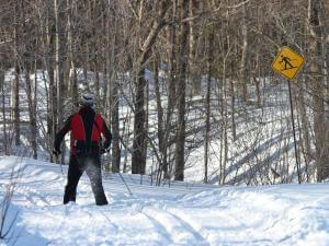 Sentier Ski De Fond Quebec . Sur.ly For Any Website In Case Your Platform Is Not In The.