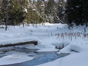 View of the trails in winter in the Parc naturel régional de Portneuf.