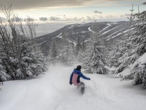 A snowboarder in the powder at Mont Liguori, in the Massif de Charlevoix.