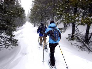 Quatre Natures - snowshoe hike