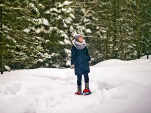 Au Chalet en Bois Rond - Raquettes