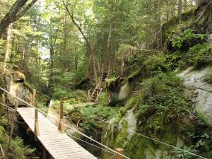 Parc naturel régional de Portneuf - suspension bridge